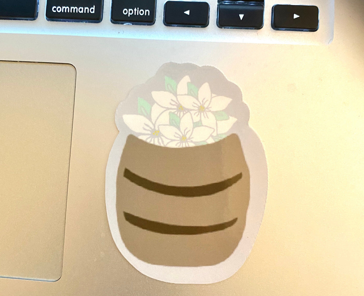 Sampaguita Flowers in a Barrel