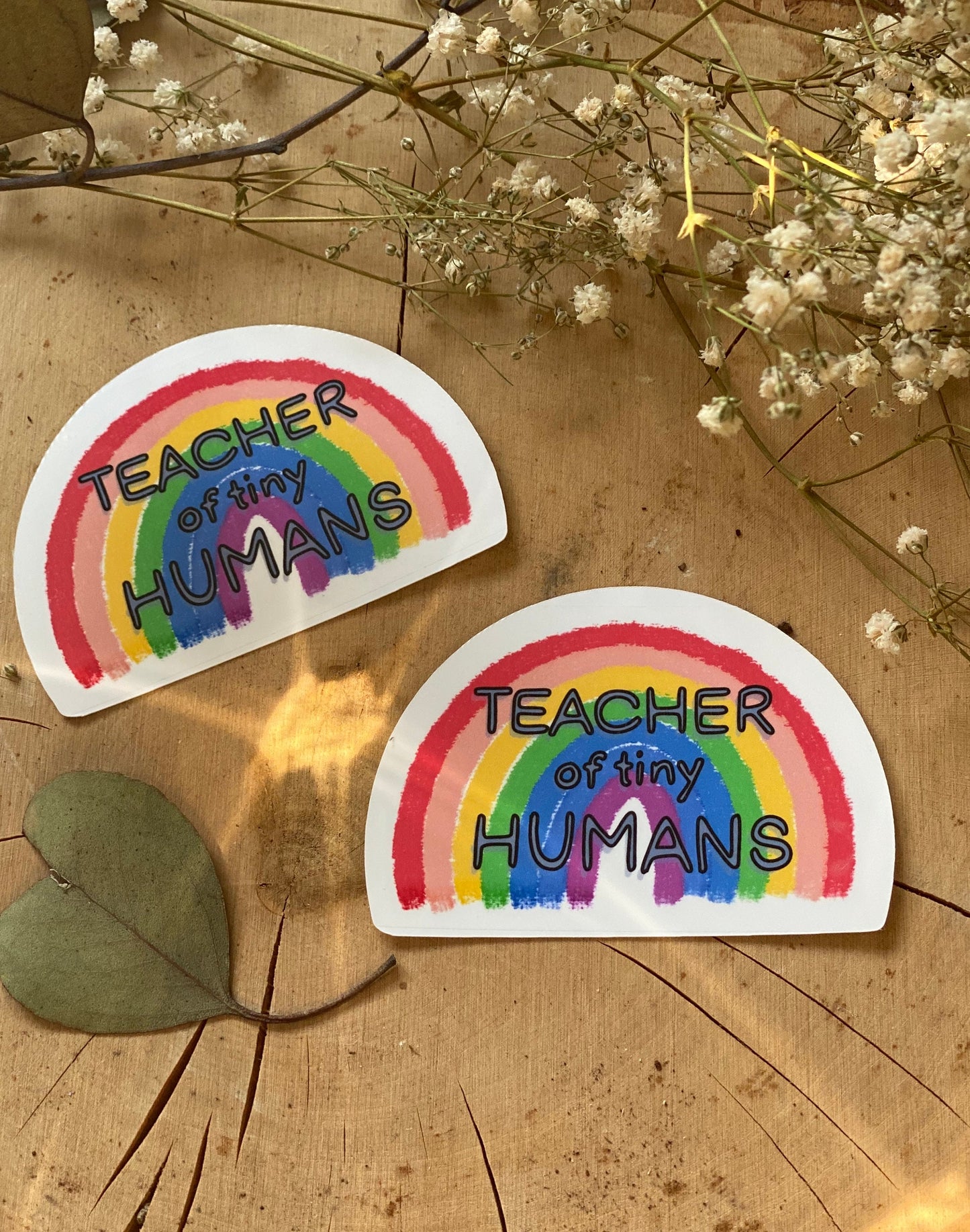 Teacher of Tiny Humans Rainbow Sticker
