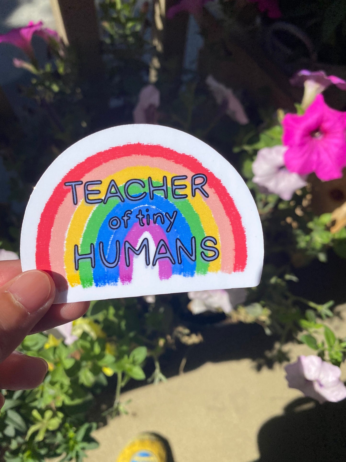 Teacher of Tiny Humans Rainbow Sticker