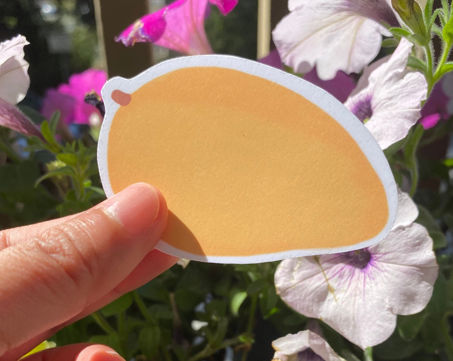 Manila Mango Sticker