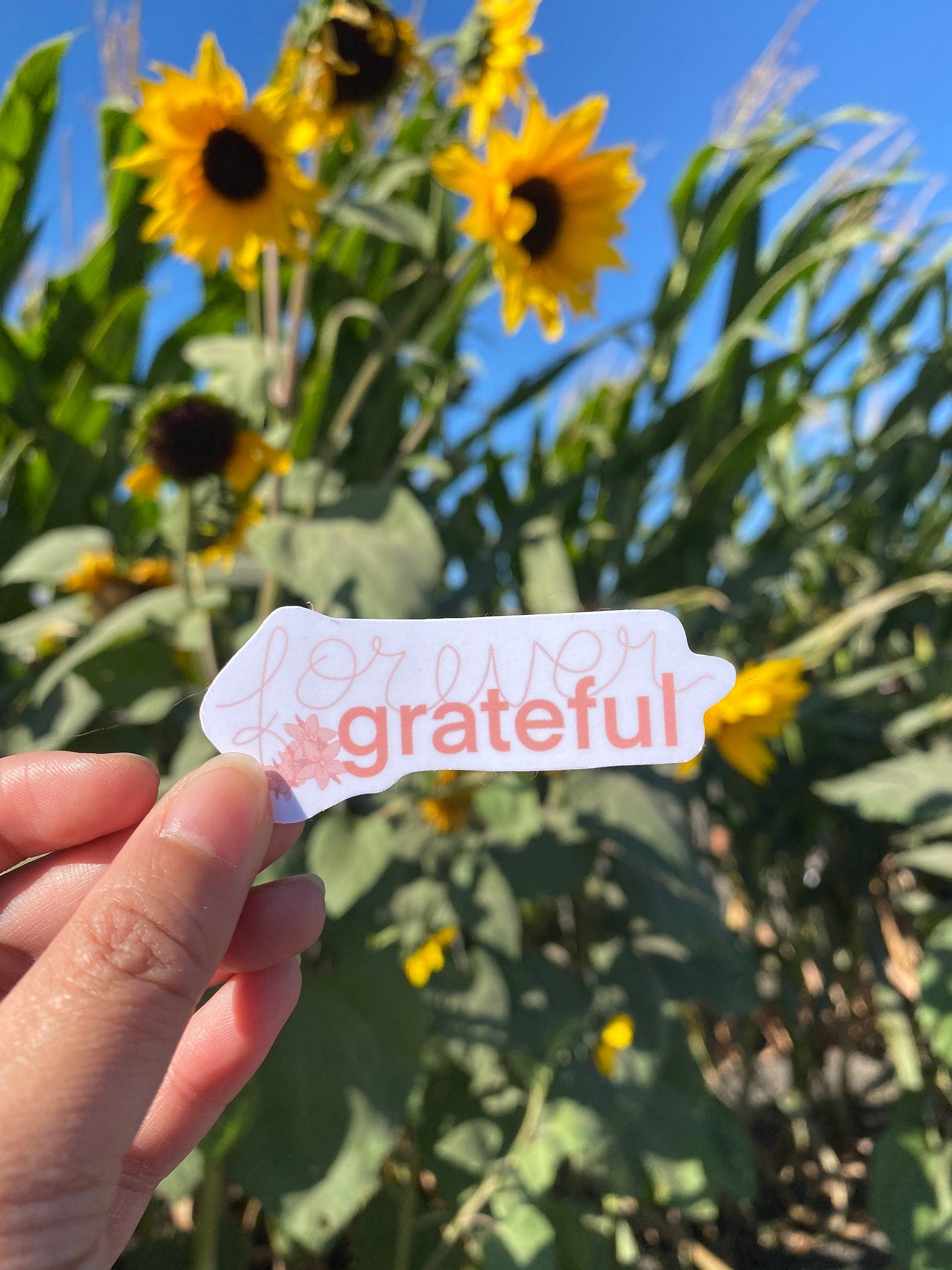 Forever Grateful Sticker