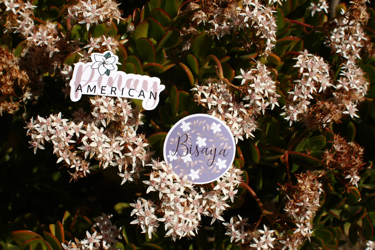 Pinay American Sticker