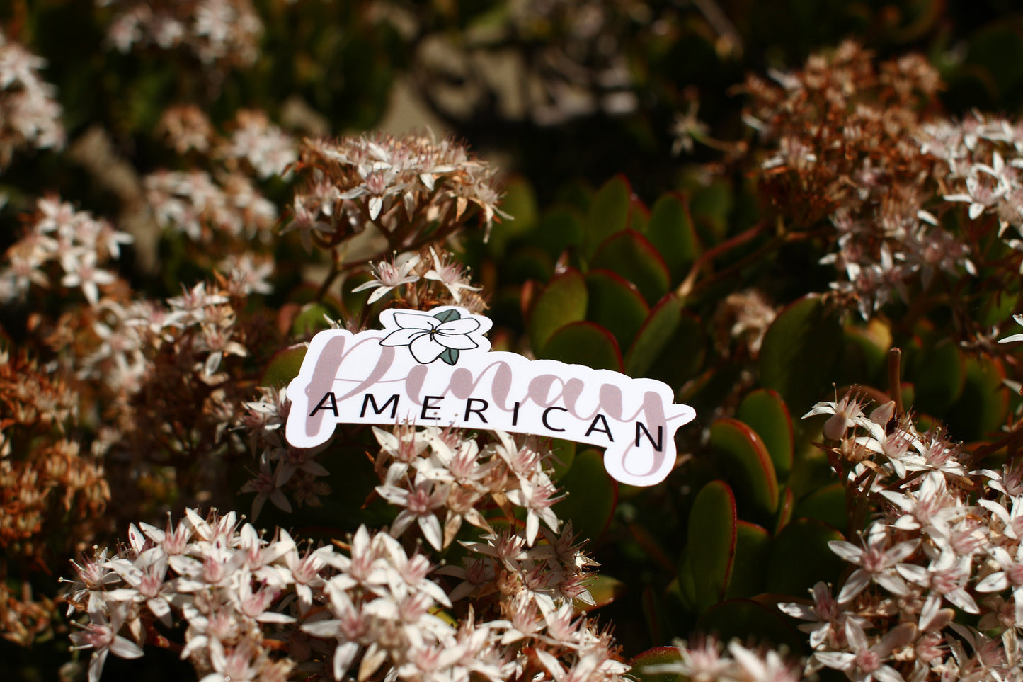 Pinay American Sticker