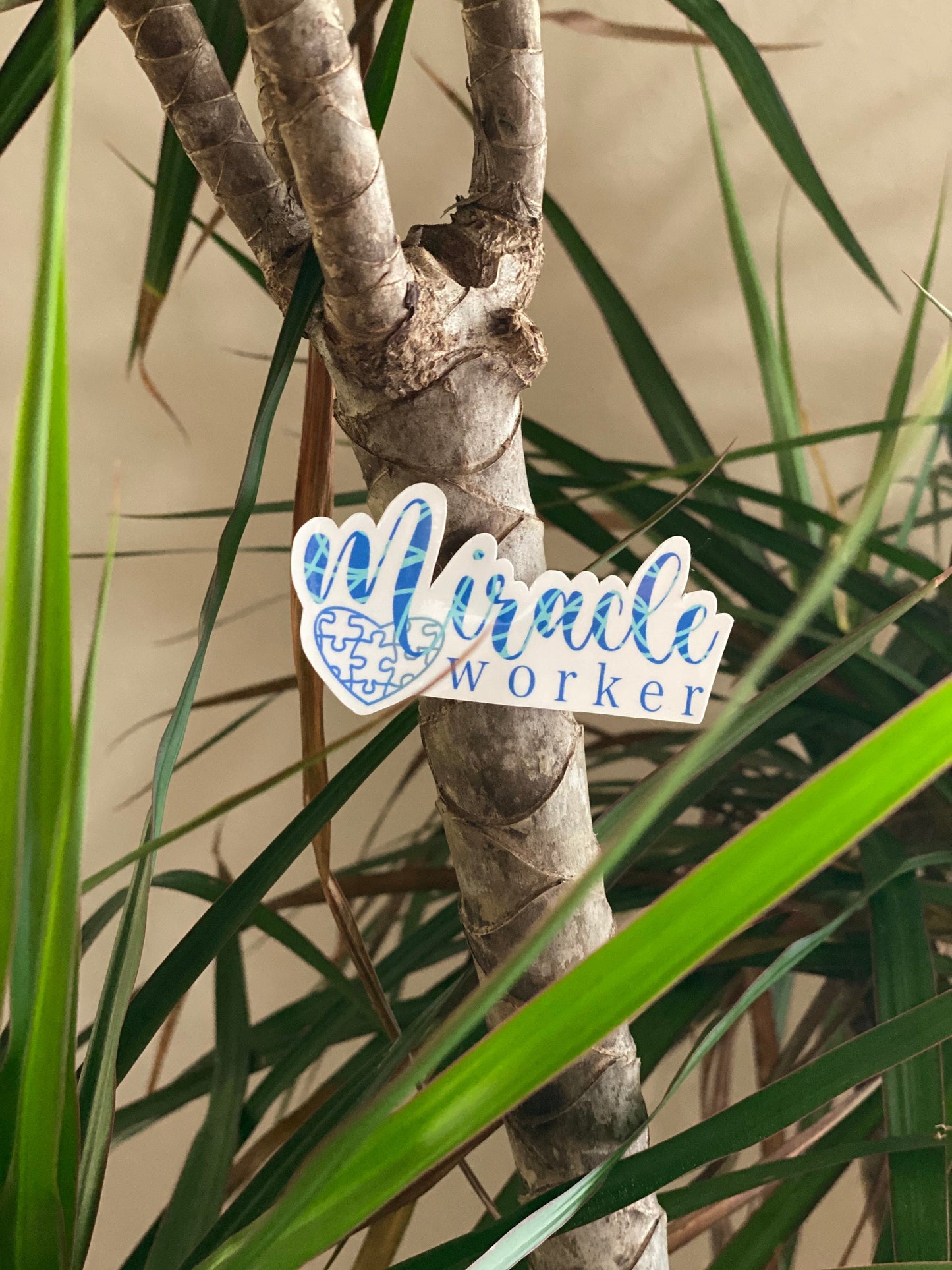 Miracle Worker Sticker