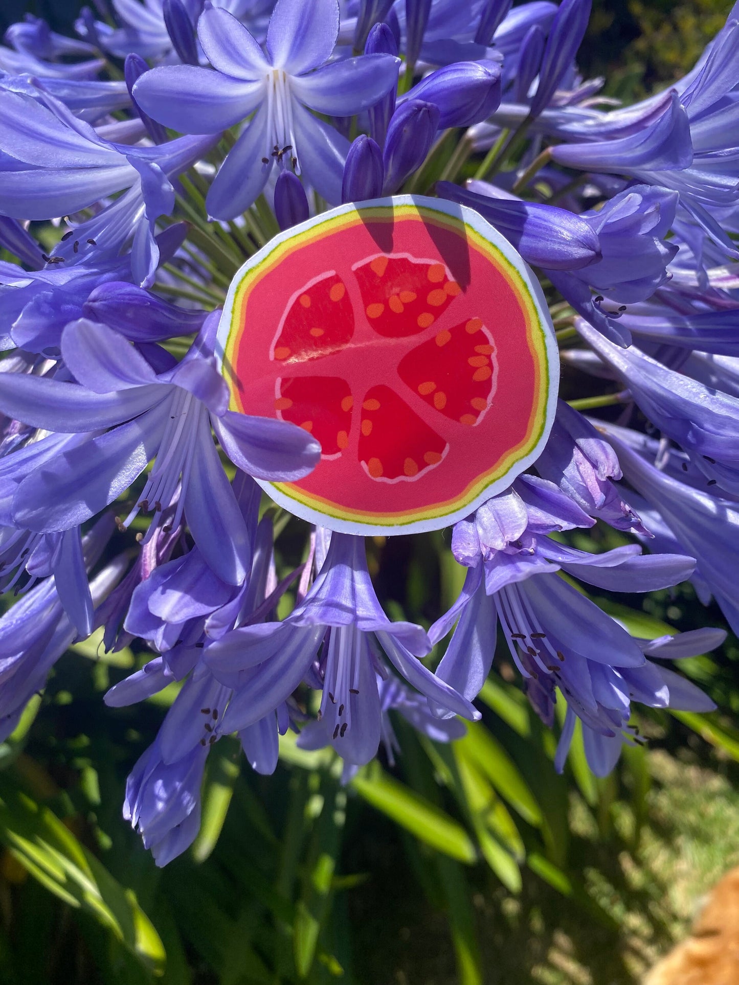 Guava Sticker