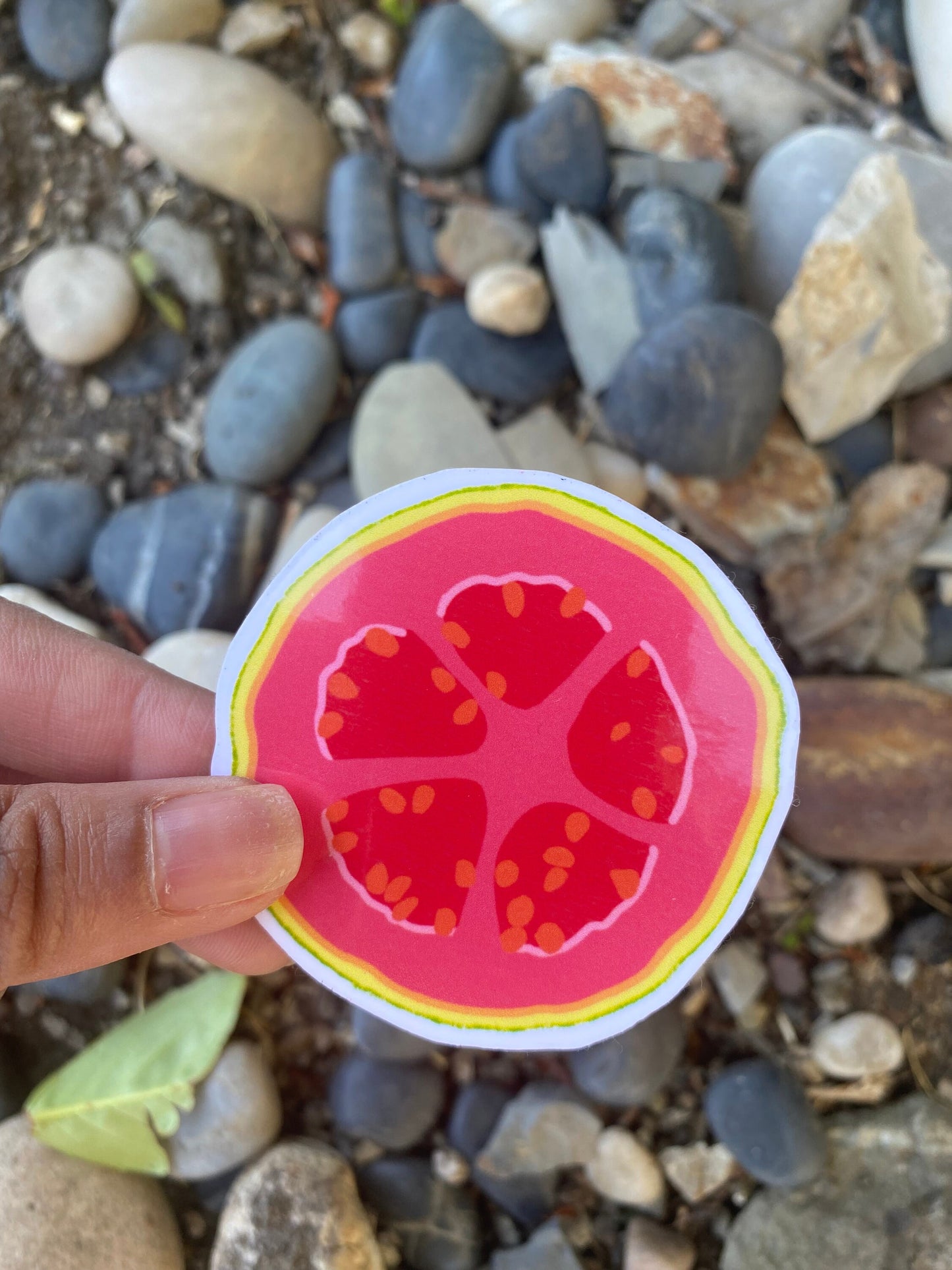 Guava Sticker