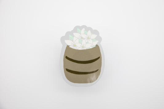 Sampaguita Flowers in a Barrel