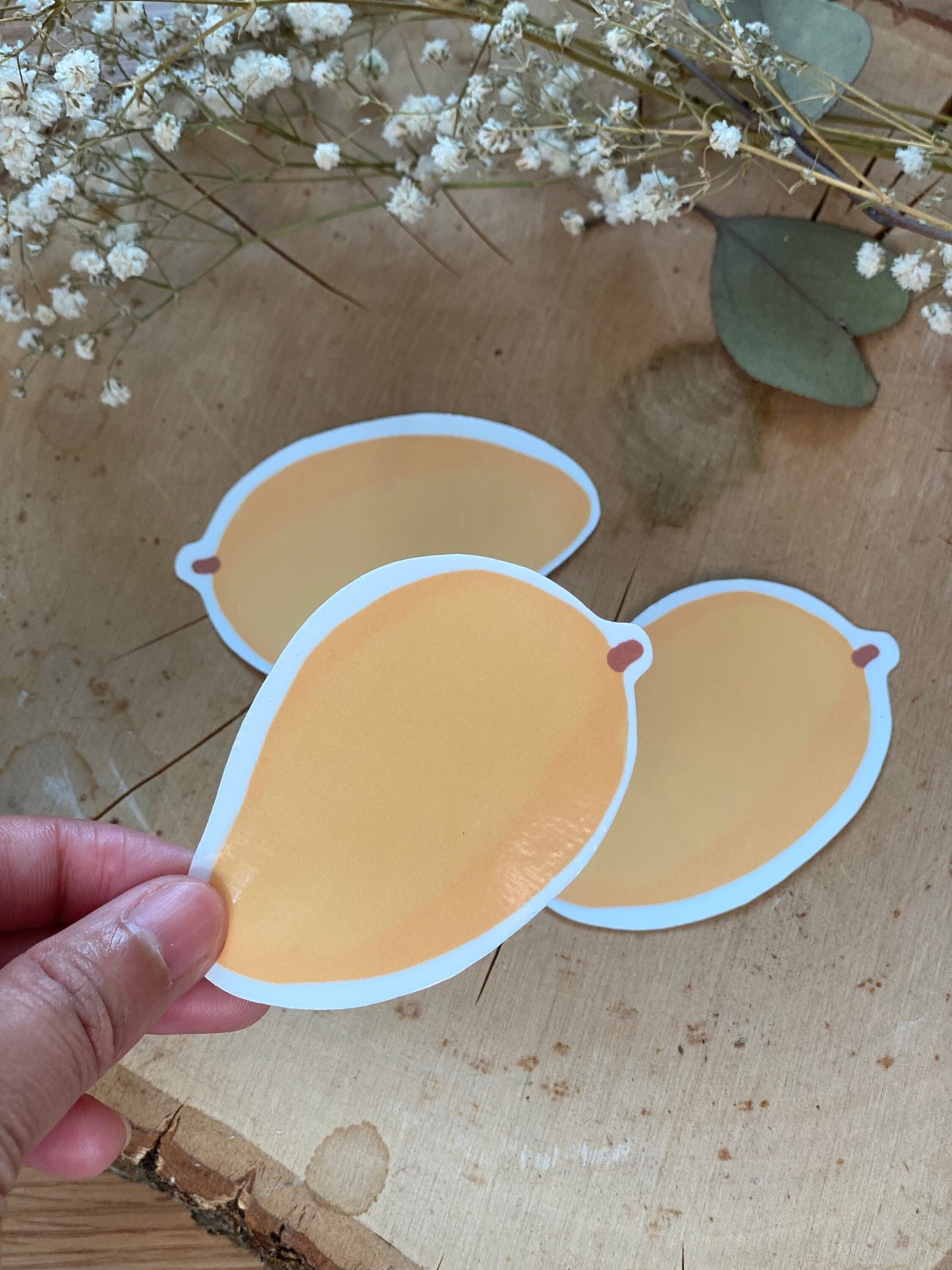 Manila Mango Sticker